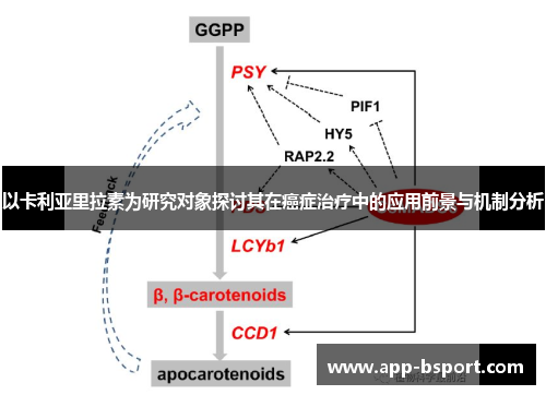 以卡利亚里拉素为研究对象探讨其在癌症治疗中的应用前景与机制分析